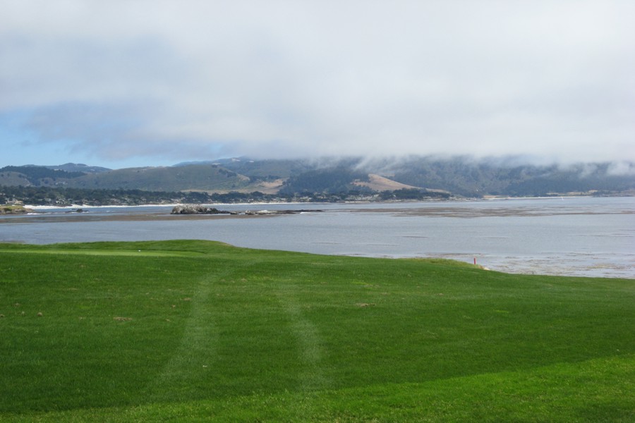 ../image/17 mile drive pebble beach 1 .jpg